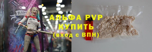 стафф Алзамай