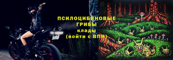стафф Алзамай